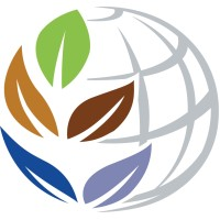 Sweet Futures logo